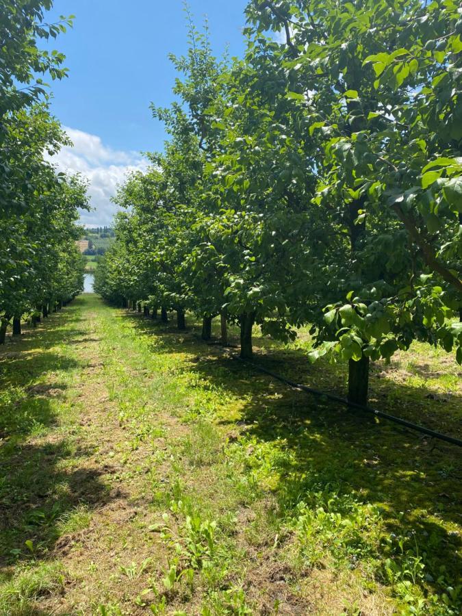 Gite La Garrigue Montbarla ภายนอก รูปภาพ