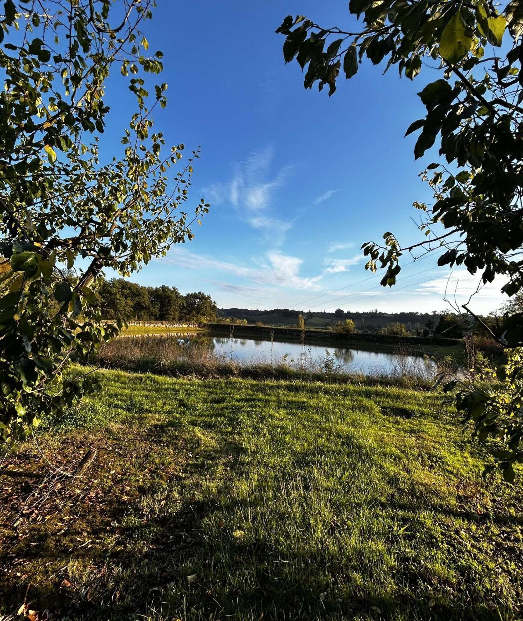 Gite La Garrigue Montbarla ภายนอก รูปภาพ