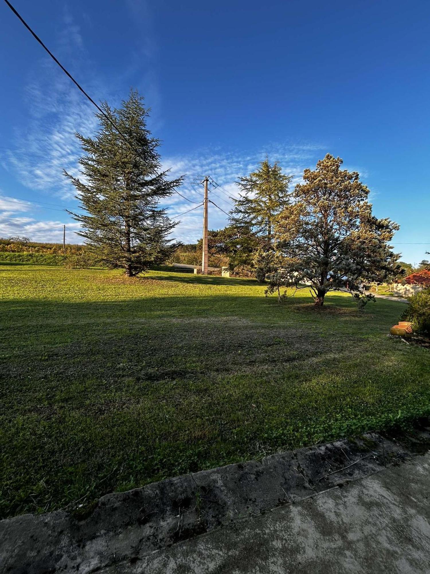 Gite La Garrigue Montbarla ภายนอก รูปภาพ